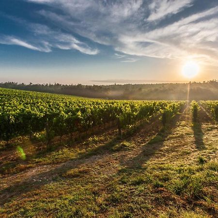Il Palco Montepulciano, Vista Incredibile, 150Mt Da Piazza Grande Apartman Kültér fotó